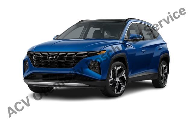 Balıkesir Hyundai Servisi