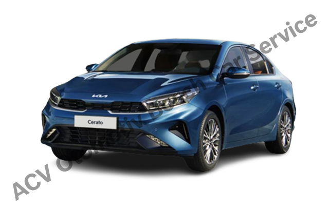 Balıkesir Kia Servisi