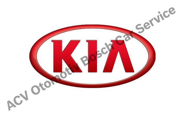 Balıkesir Kia Servisi