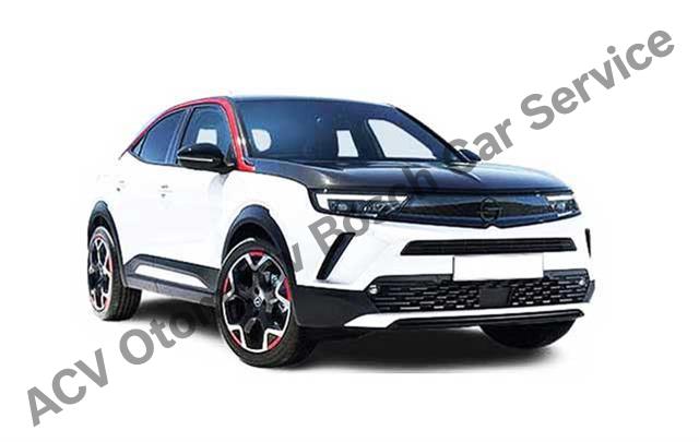 Balıkesir Opel Servisi