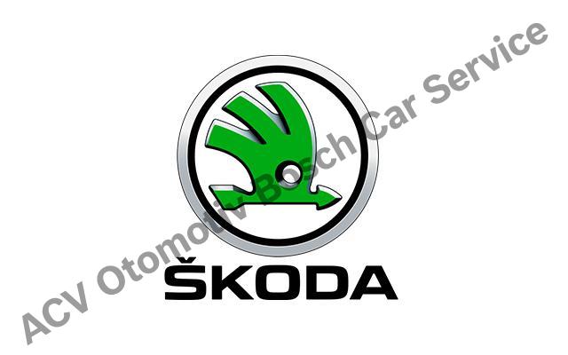 Balıkesir Skoda servisi 